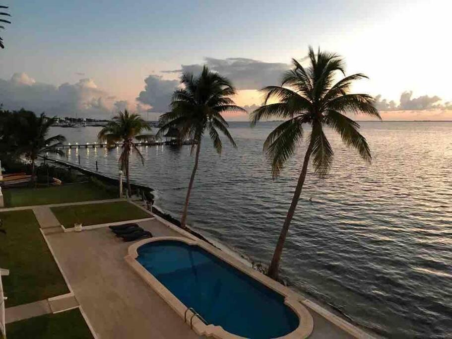 Apartmán Flamingo By Andiani Travel Cancún Exteriér fotografie